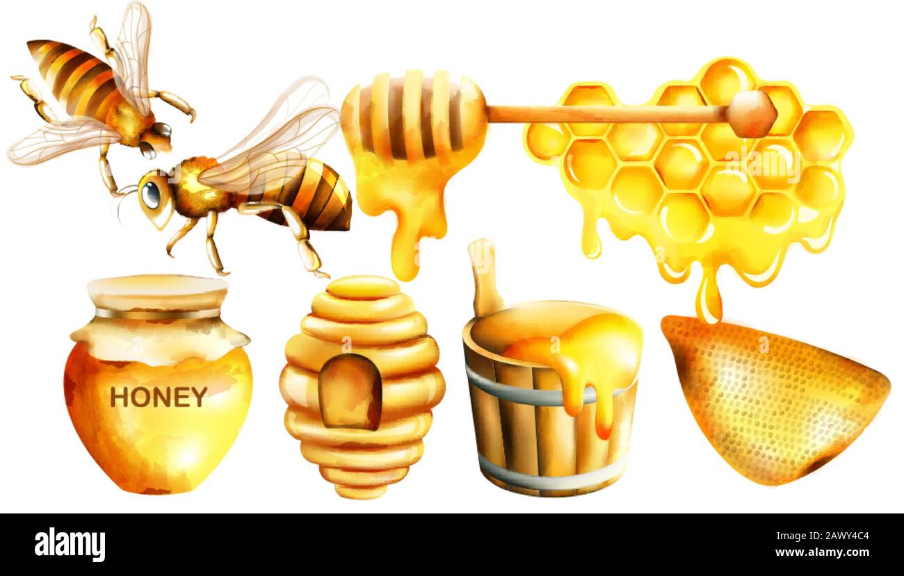 Honey watercolor set with jar, dipper, bees, house and bucket. Vector Stock Vector