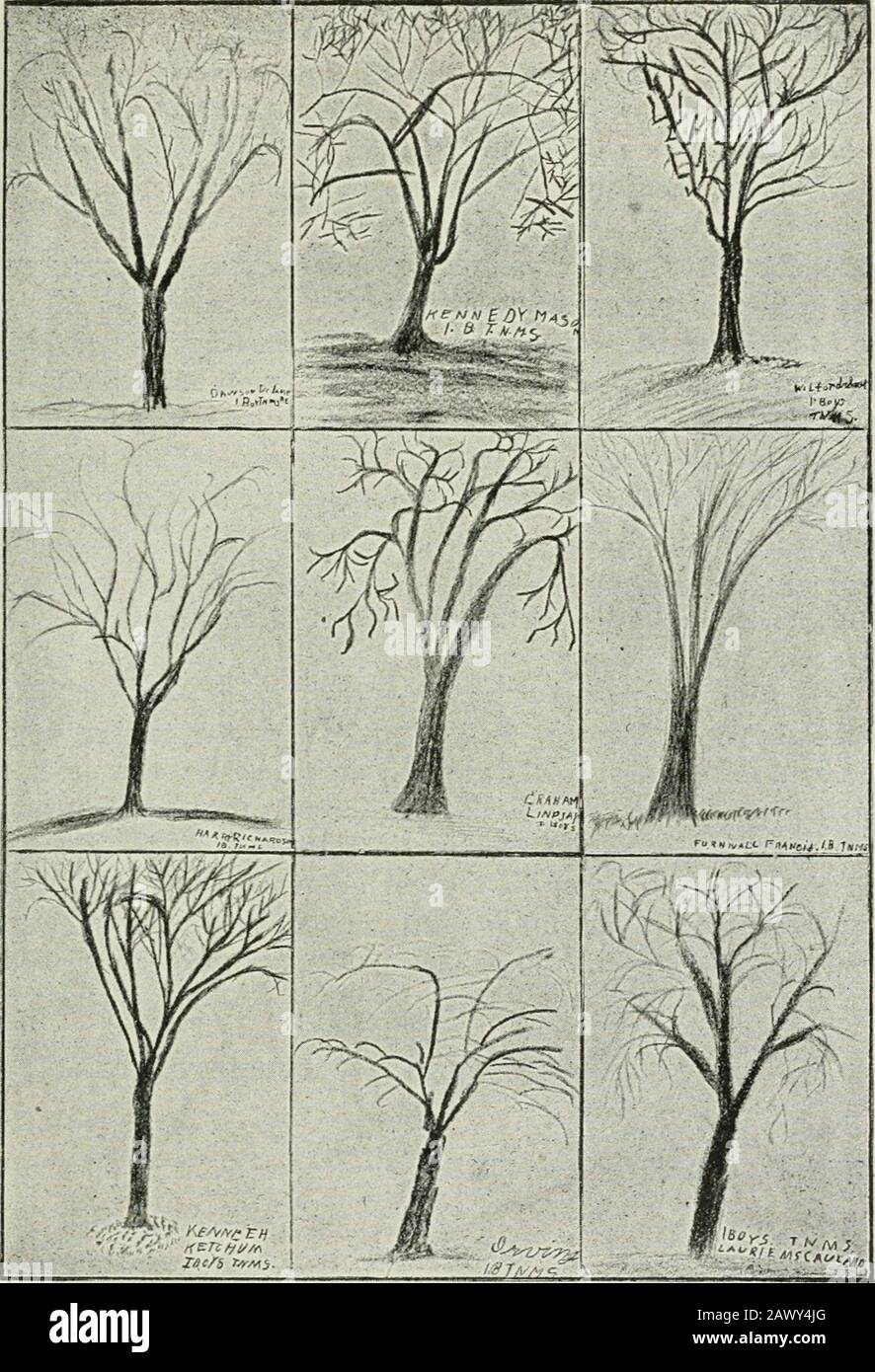 Art It On Your Paper How Much Isto Be Trunk Hold Up The Crayon With Whicli You Are Going To Egin Making Thefoliage Use It Very Lightly So That The Other Art It On Your Paper How Much Isto Be Trunk Hold Up The Crayon With Whicli You Are Going To Egin Making Thefoliage Use It Very Lightly So That The Other