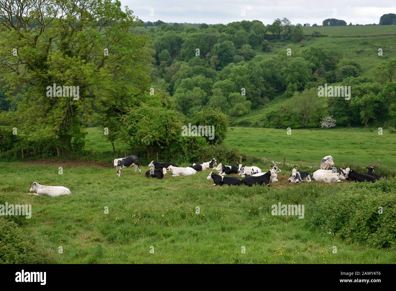 Lansdown scenes and views, Bath and Northeast Somerset, UK Stock Photo