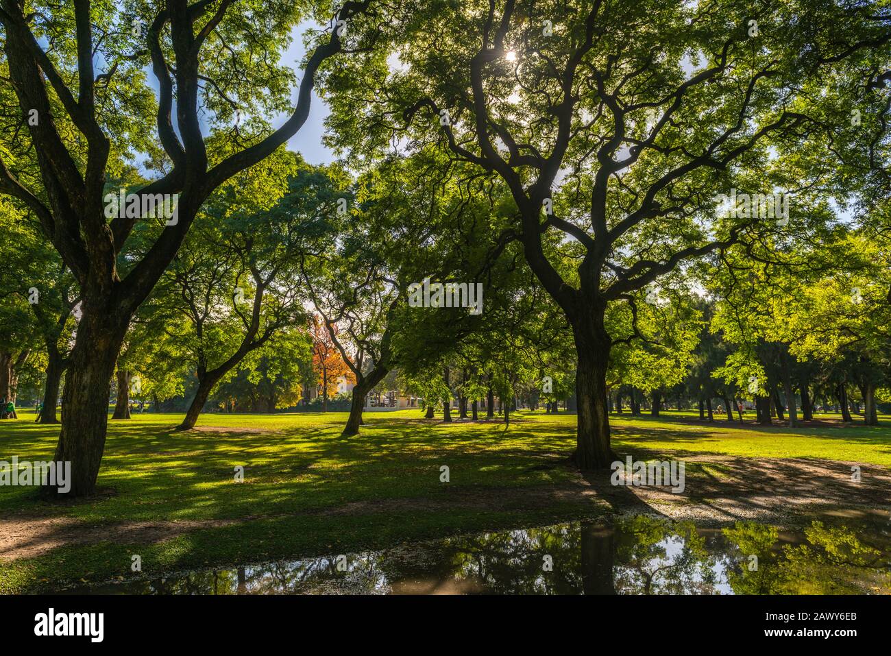 Parque 3 de Febrero or Park of 3rd February, Buenos Aires, Argentina, Latin America Stock Photo