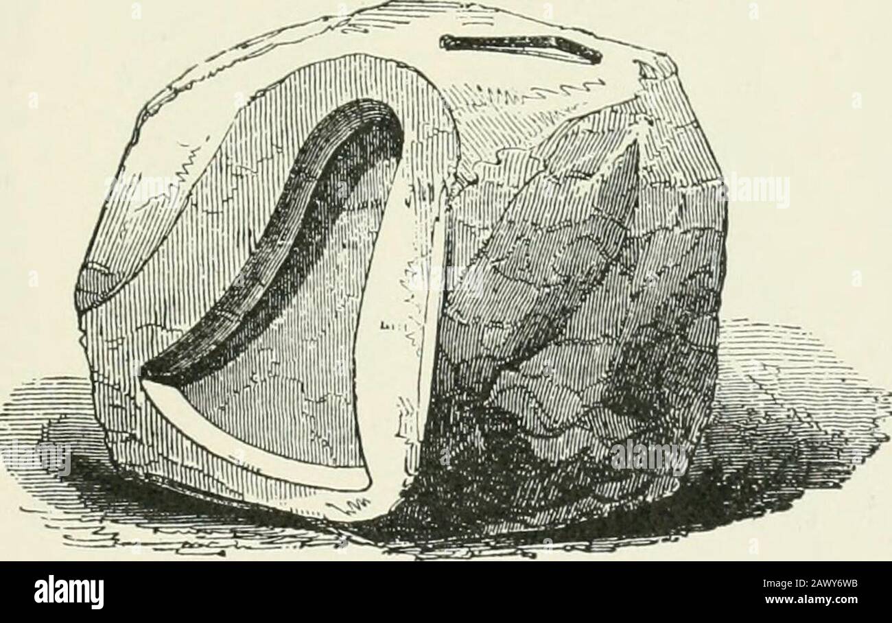 An Introduction To The Study Of Prehistoric Art Fig 195 Stone Moulds Ireland 6 Inches Long Attained In This Art In The Bronze Age Is Well Exempli Fied By The Bronze Trumpets Discovered