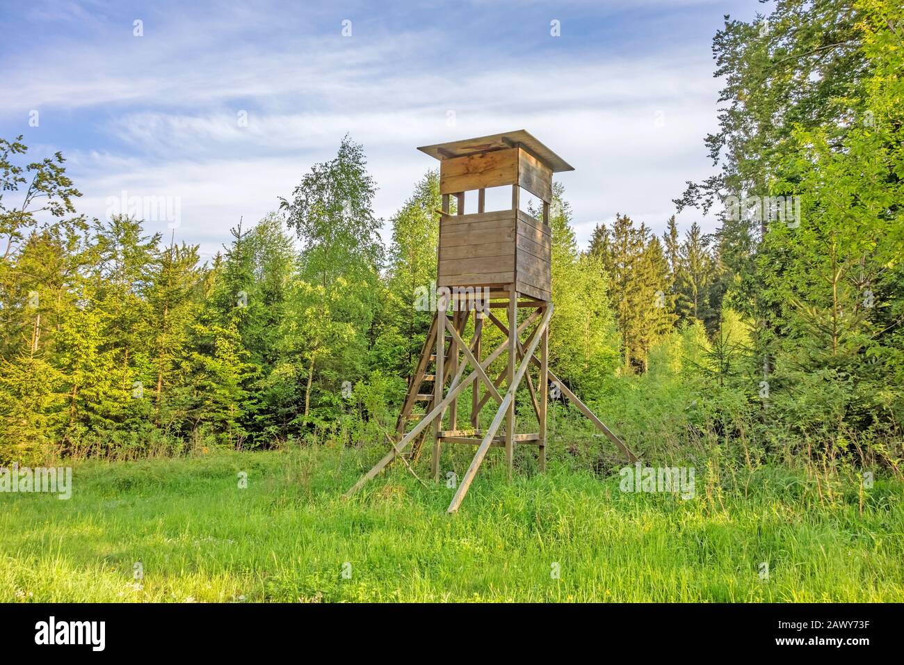 Deerstand in the forest surrounded by trees, meadow in front Stock ...