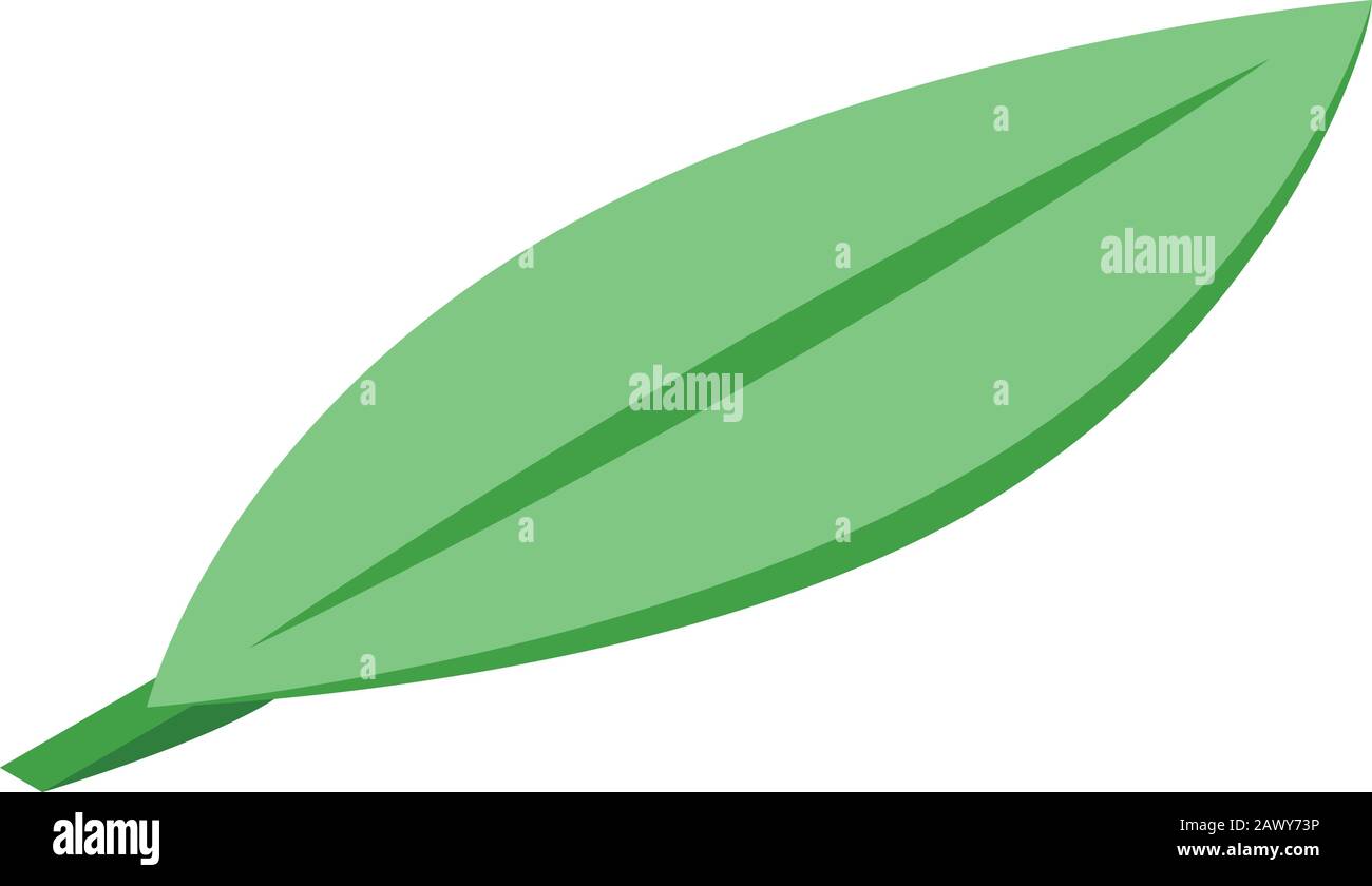 Mango leaf icon, isometric style Stock Vector