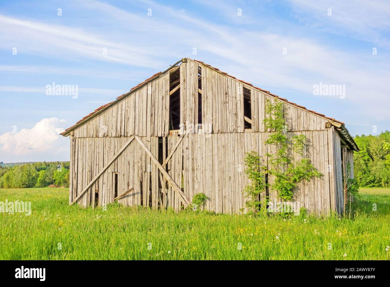 Old grey, weathered barn on green meadow, blue sky with clouds Stock ...