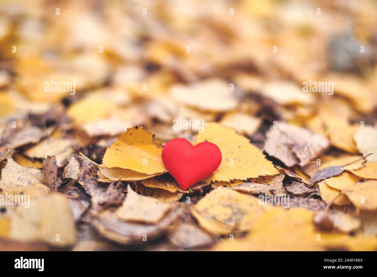 One Sided Love High Resolution Stock Photography And Images Alamy