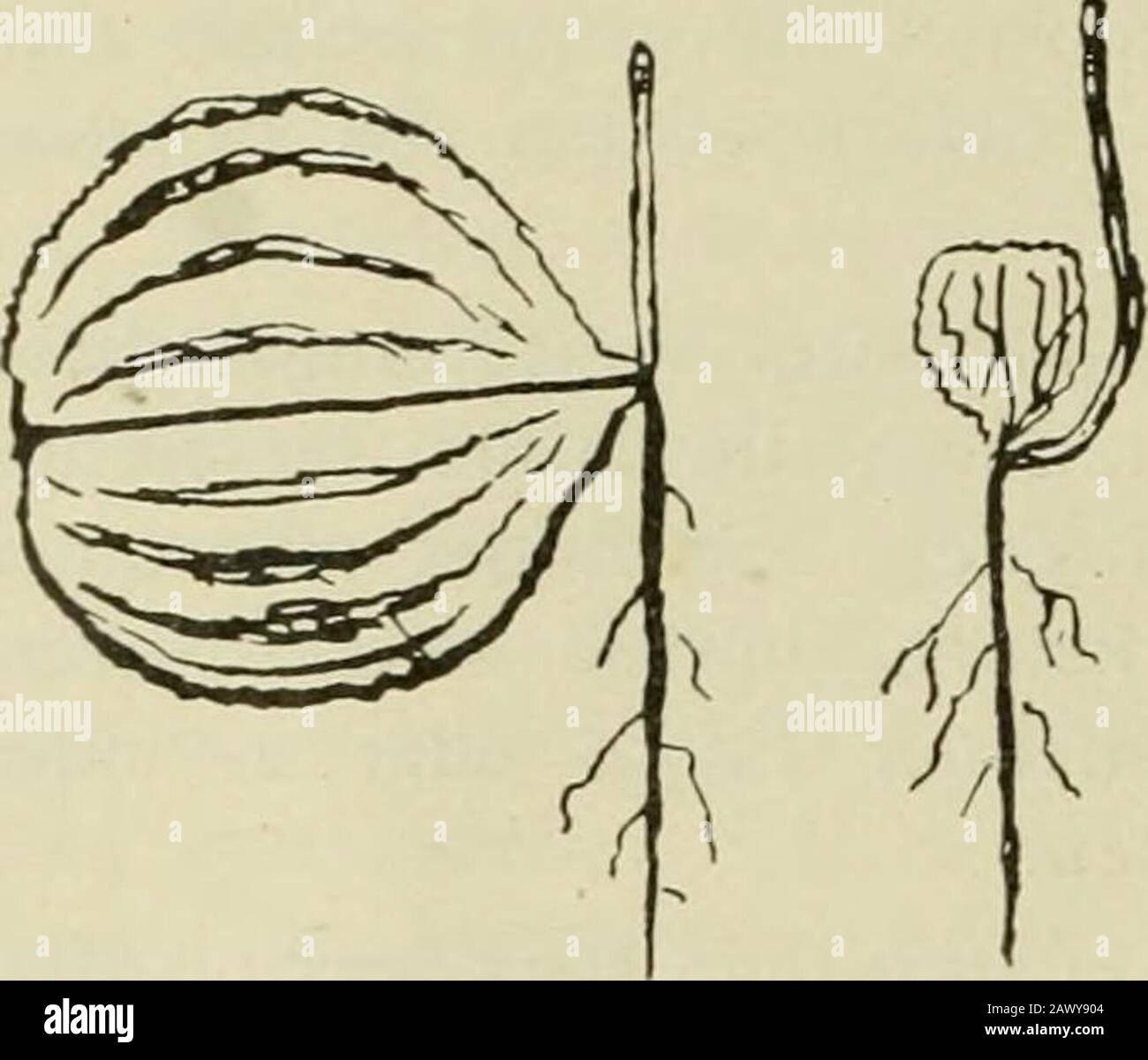 Unterzubringen High Resolution Stock Photography And Images Alamy