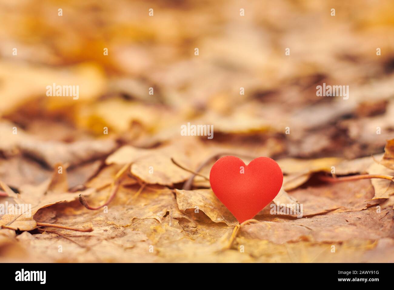 Symbol Of Unrequited Love High Resolution Stock Photography and Images ...