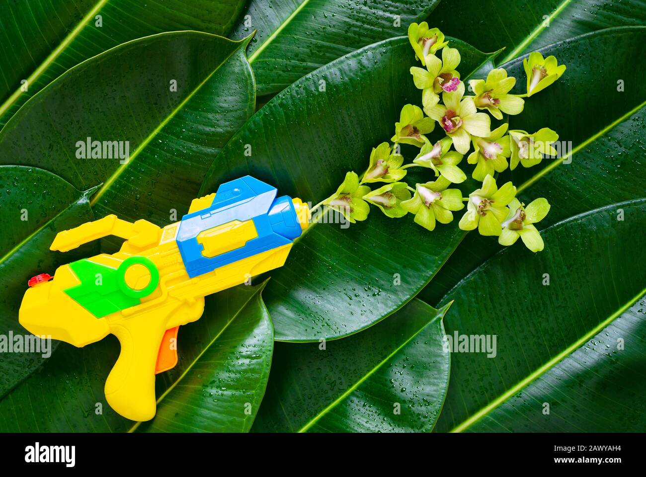 Yellow water gun with orchid flowers that set as splash water put on