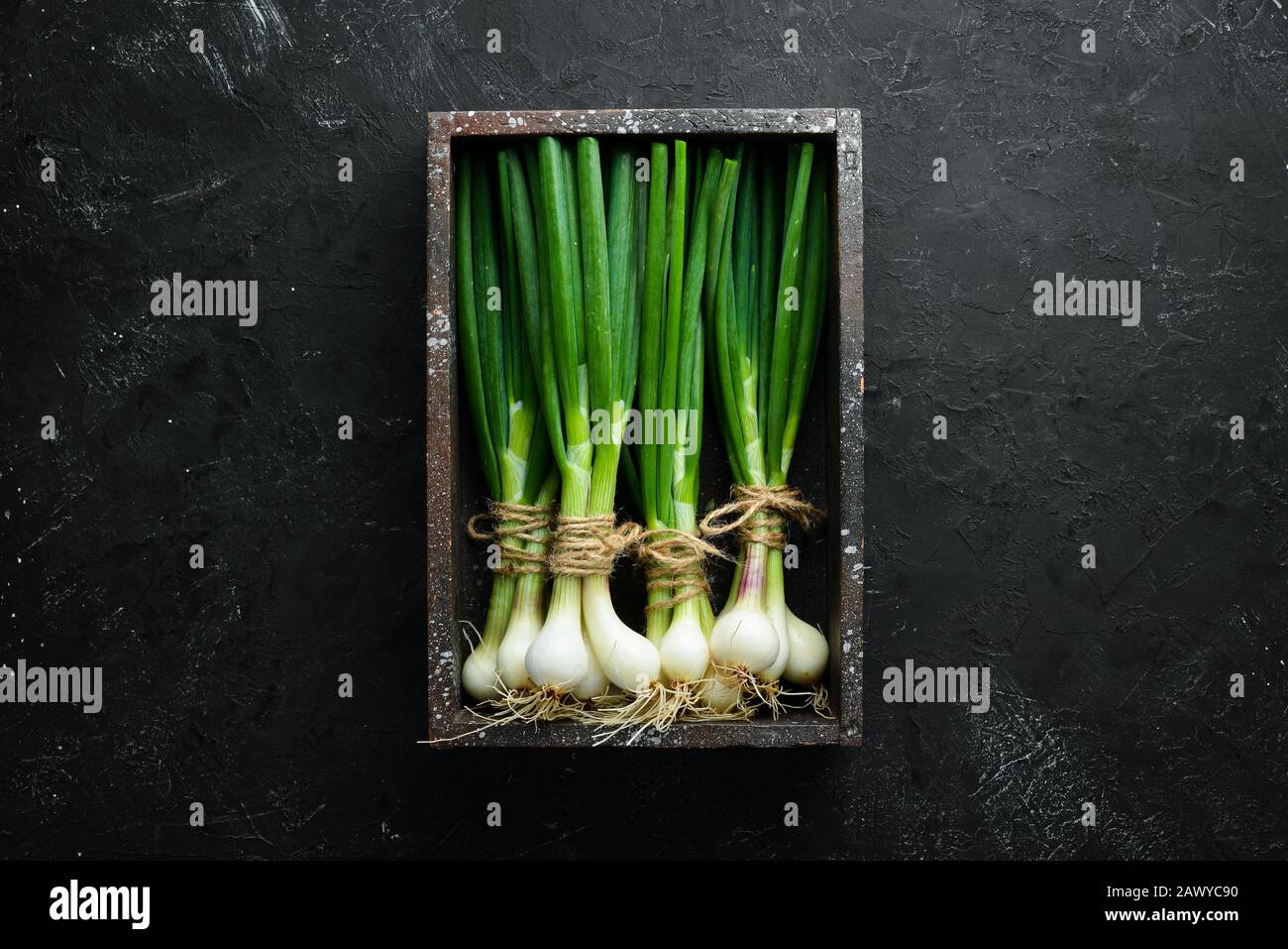 Fresh green onion on a black stone background. Fresh vegetables. Top ...