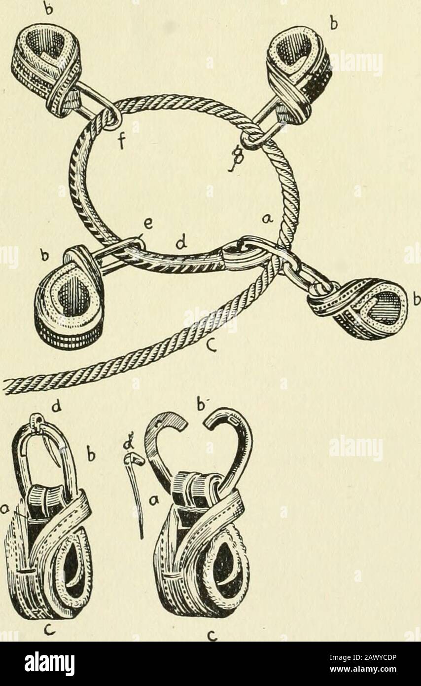 Restraint of domestic animals; a book for the use of students and practitioners; 312 illustrations from pen drawings and 26 half tones from original photographs . the main rope (j) glides.These hobble ropes (b) (e) (f) (g) are made in form of loopsand are covered with leather or rubber hose to prevent chafing.They are each 17 inches long. The main rope (j) is fixed to oneof the hobble rings (i) by means of wrapping with a waxedend or strong cord (a). This rope is passed through all thehobble rings (b) (c) (d) and back to the j^oint of beginning(i). The main rope (j) is 18 feet long and % inche Stock Photo