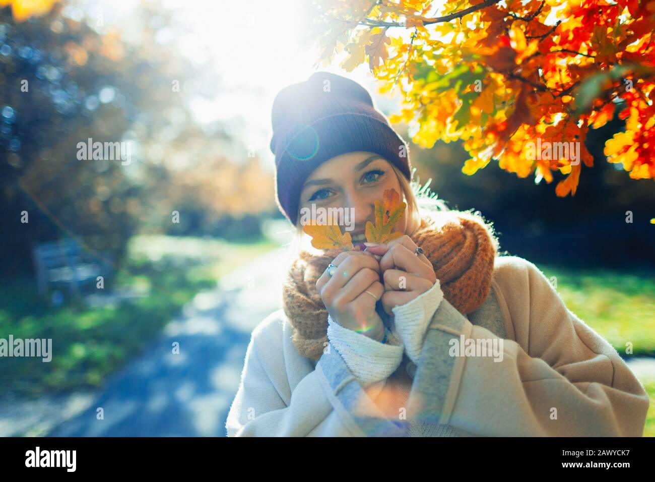 Portrait happy young woman holding autumn leaves in sunny park Stock Photo