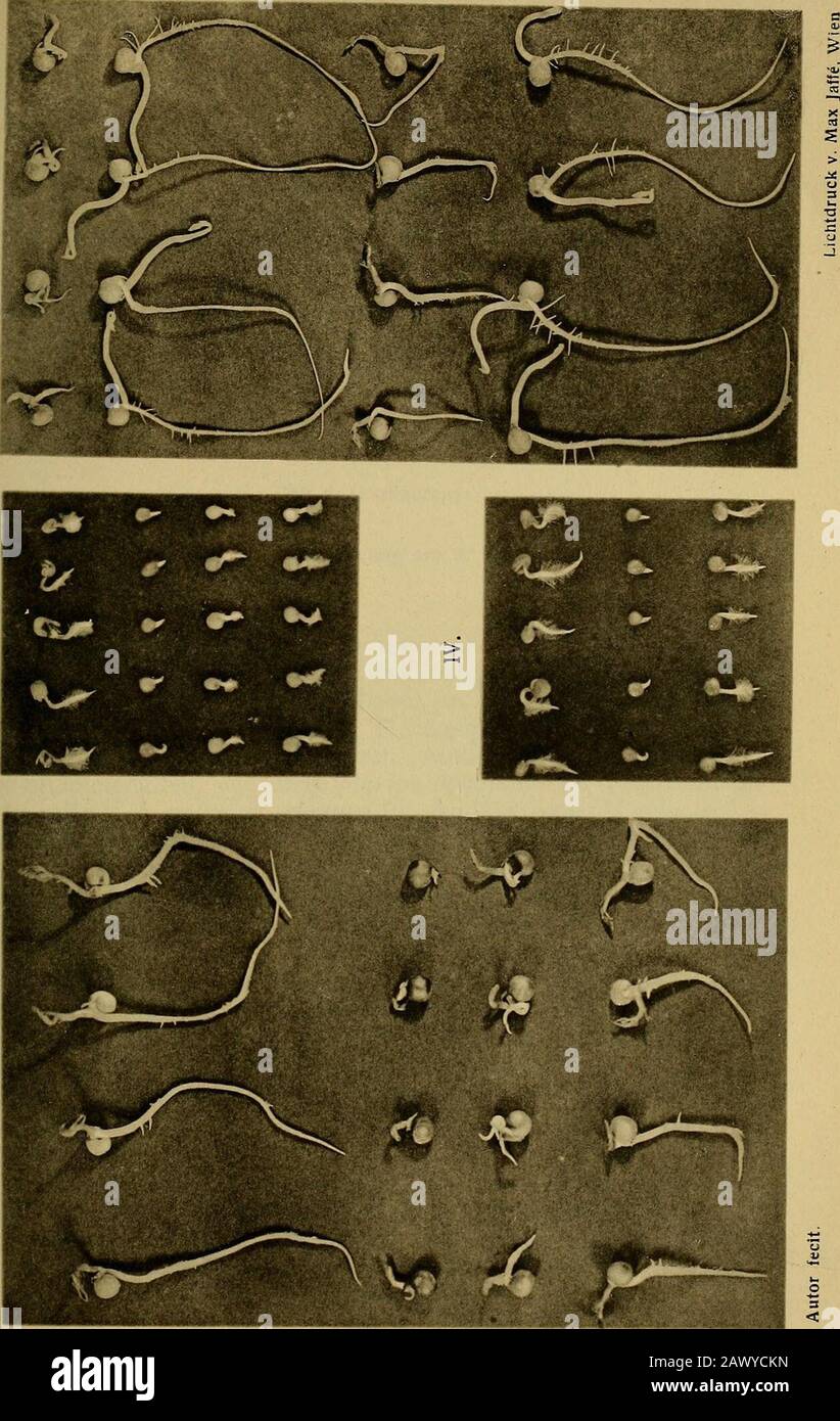 Il 1000 Hi Res Stock Photography And Images Page 3 Alamy