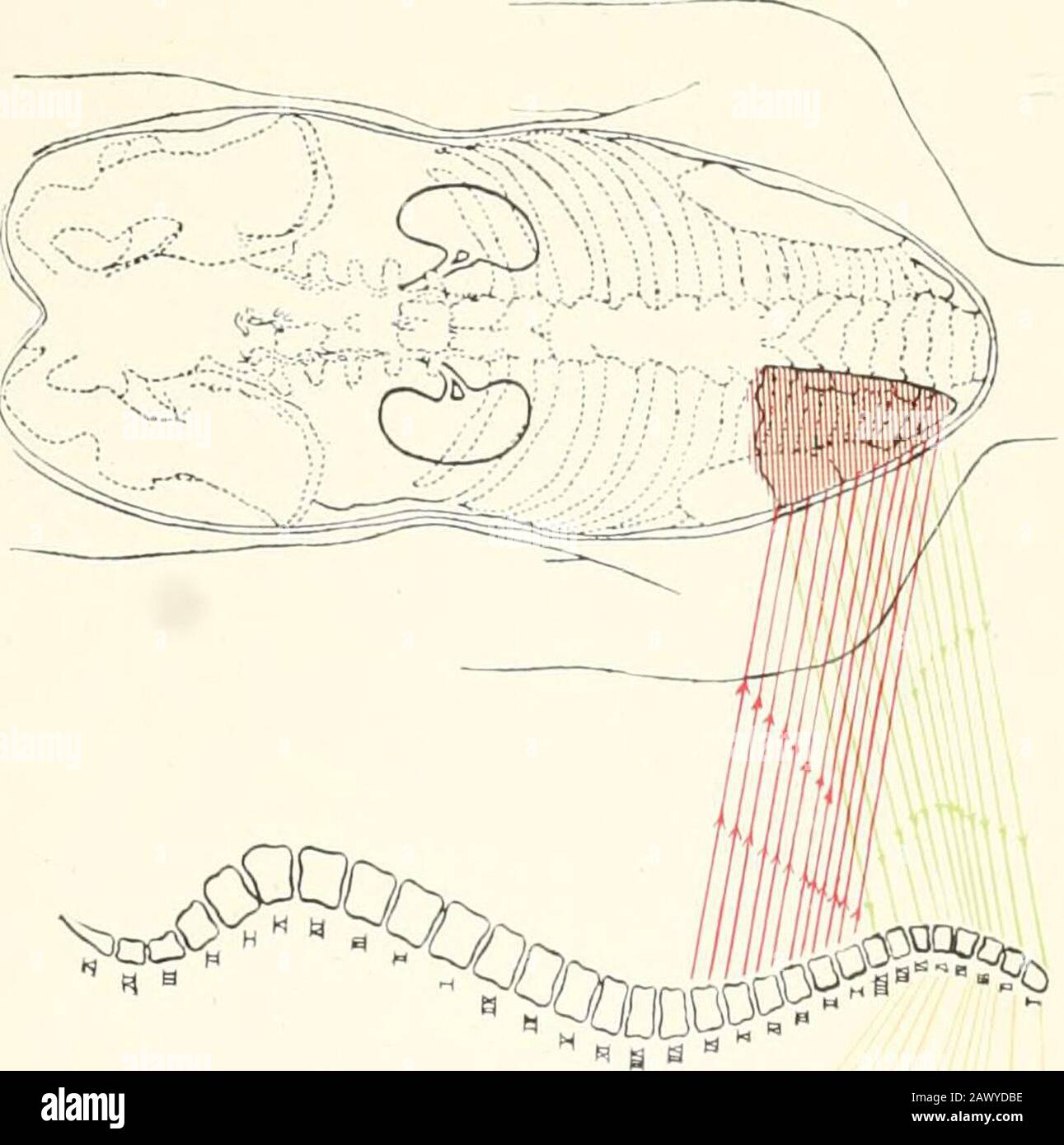 Clinical Tuberculosis N 3 P Gu Ft 3 S 1 O F I 3o 5 N 3 Tprr Cl N I Lt 0 R R Clinical Tuberculosis N 3 P Gu Ft 3 S 1 O F I 3o 5 N 3 Tprr Cl N I Lt 0 R R