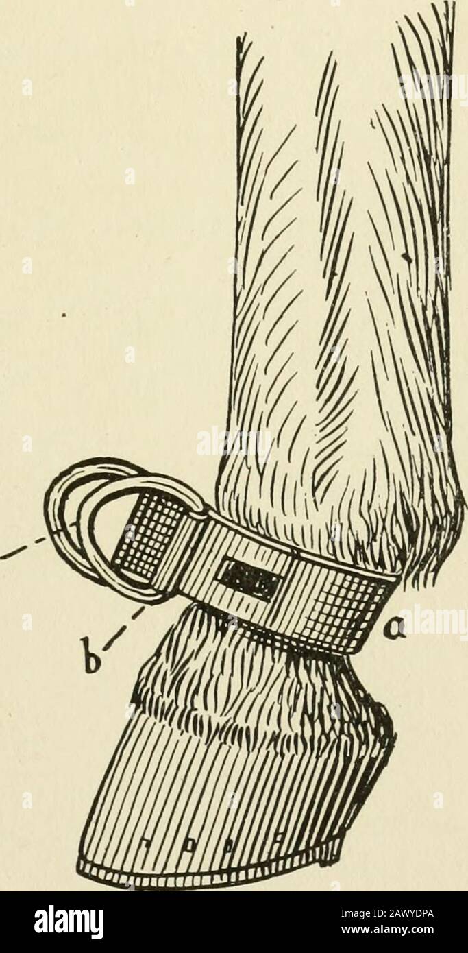 Téléchargement gratuit Images D Shaped Buckle Stock Photos D Shaped Buckle Stock Images Alamy actualisé salutations