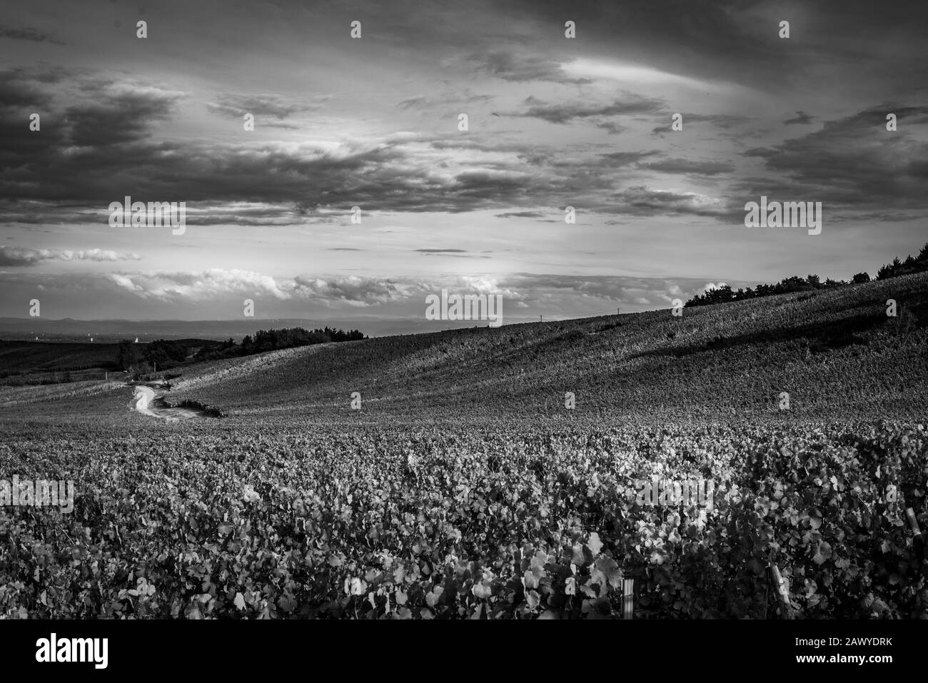 Our country alsace Black and White Stock Photos & Images - Alamy