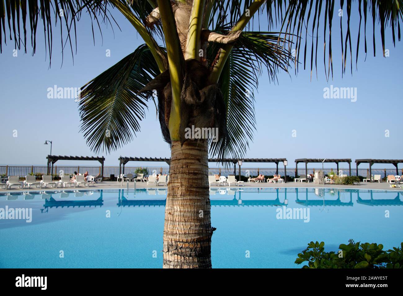 Holiday resort general picture. Resort buildings, palm trees and swimming pool. Stock Photo