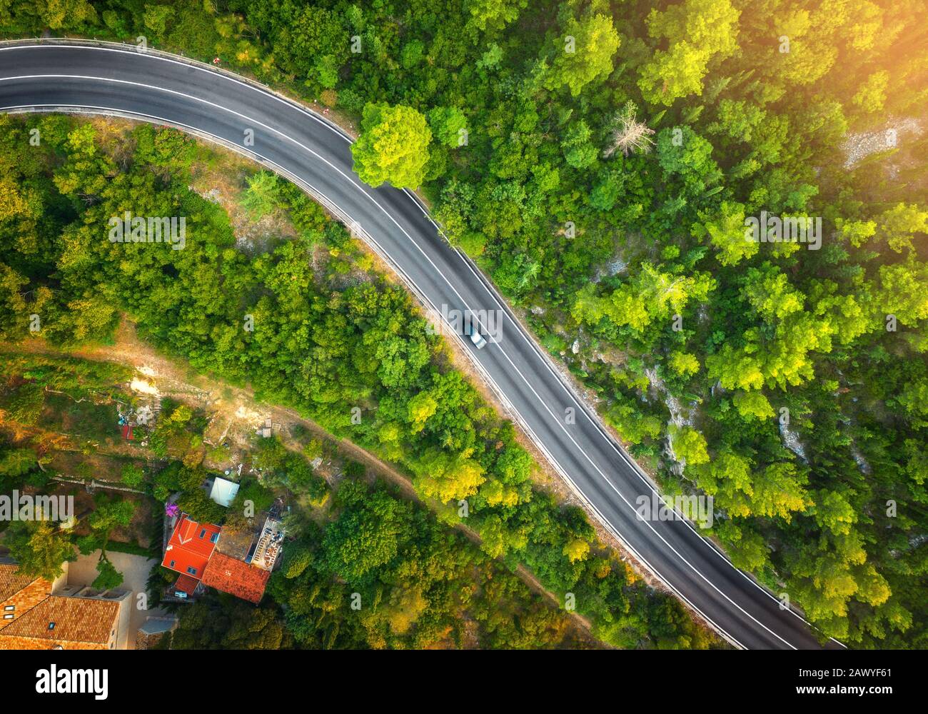 Empty forest road in spring hi-res stock photography and images - Alamy