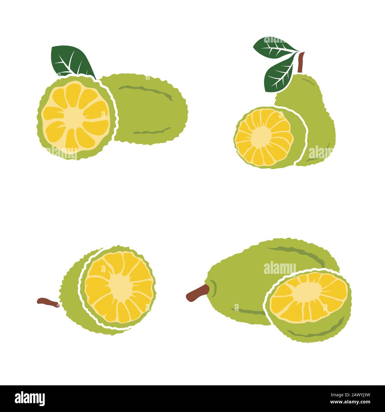 Vector black Jackfruit set on white background Stock Vector
