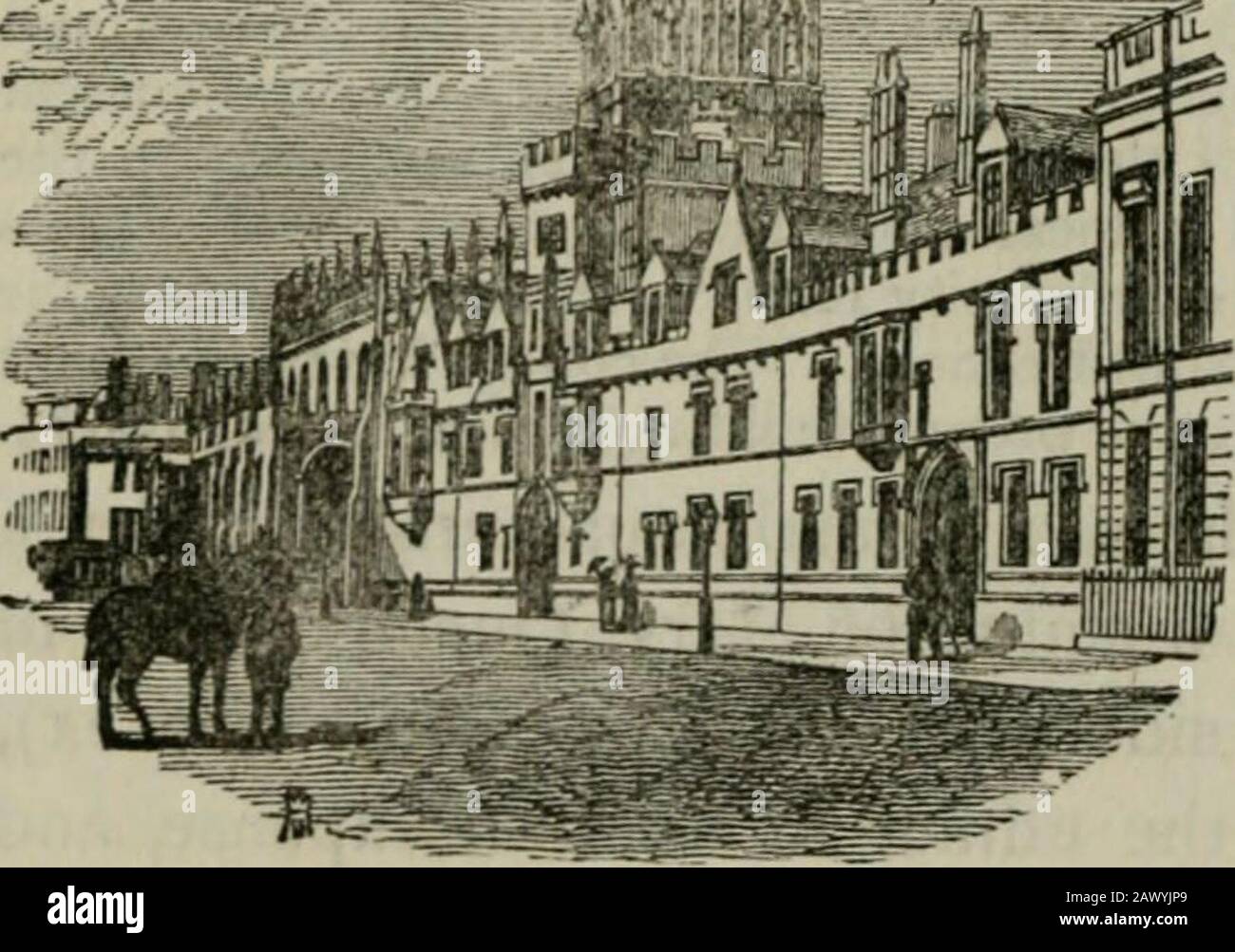 Alden's Oxford guide : with an appendix entitled "Old Oxford", and a new map . ster, burnt in fg^ wood by Mr. Griffith ; also bustsHJfta king Alfred and William Pitt. In the grounds to the rear, a housefor the Master has recently beenbuilt; also a new tutorial resi-dence adjoining the library, 1889.Re-entering the High-street,we pass a block of building at theW. extremity of the front, addedin 1S43 from a design by the lateSir C. Barry ; and on the oppositeside of the street is 19. All Souls College,founded in 1438 by Henry all souls coll. & st marys church. Chichele, of Higham Fer-rers, North Stock Photo