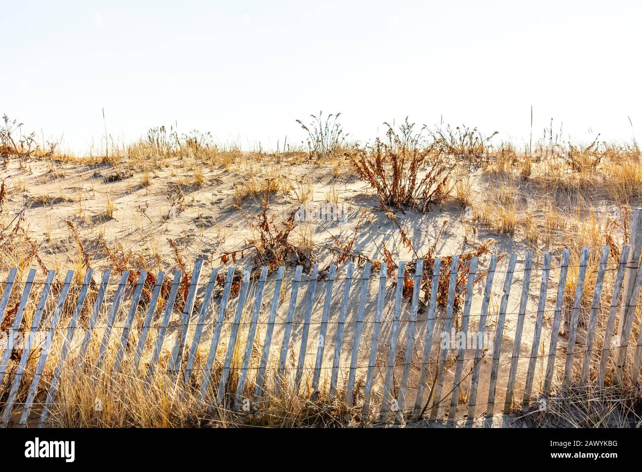 beach fencing with dune and beach grass in the winter Stock Photo