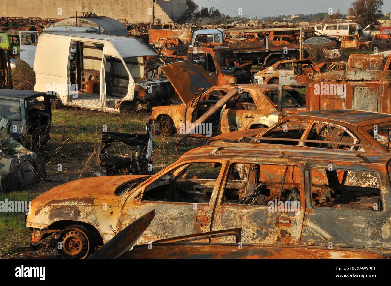 Damp of old rusted cars. Automobile cemetry Stock Photo