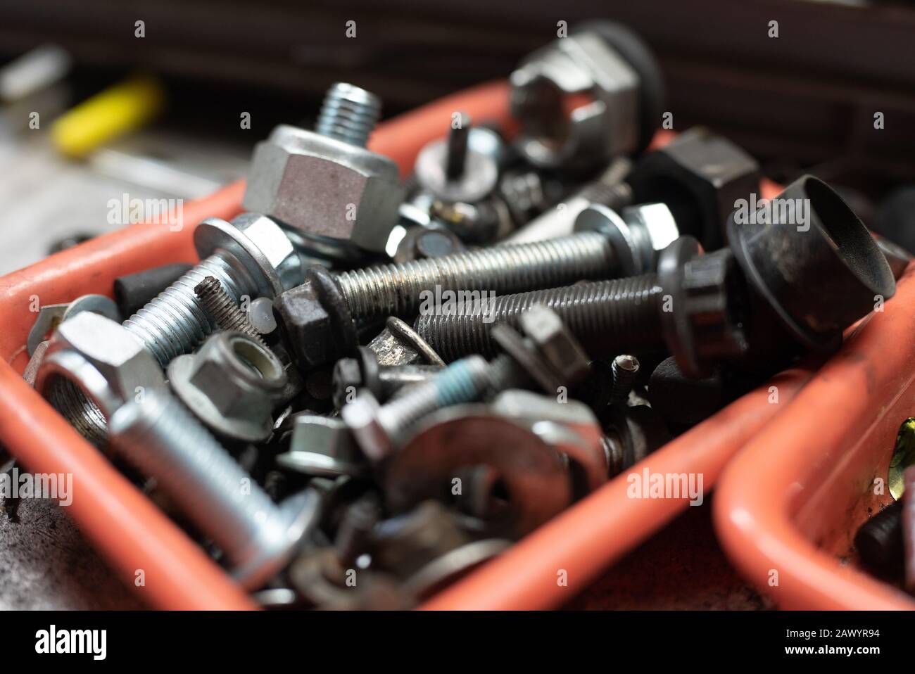 different types of screws in a plastic box Stock Photo Alamy