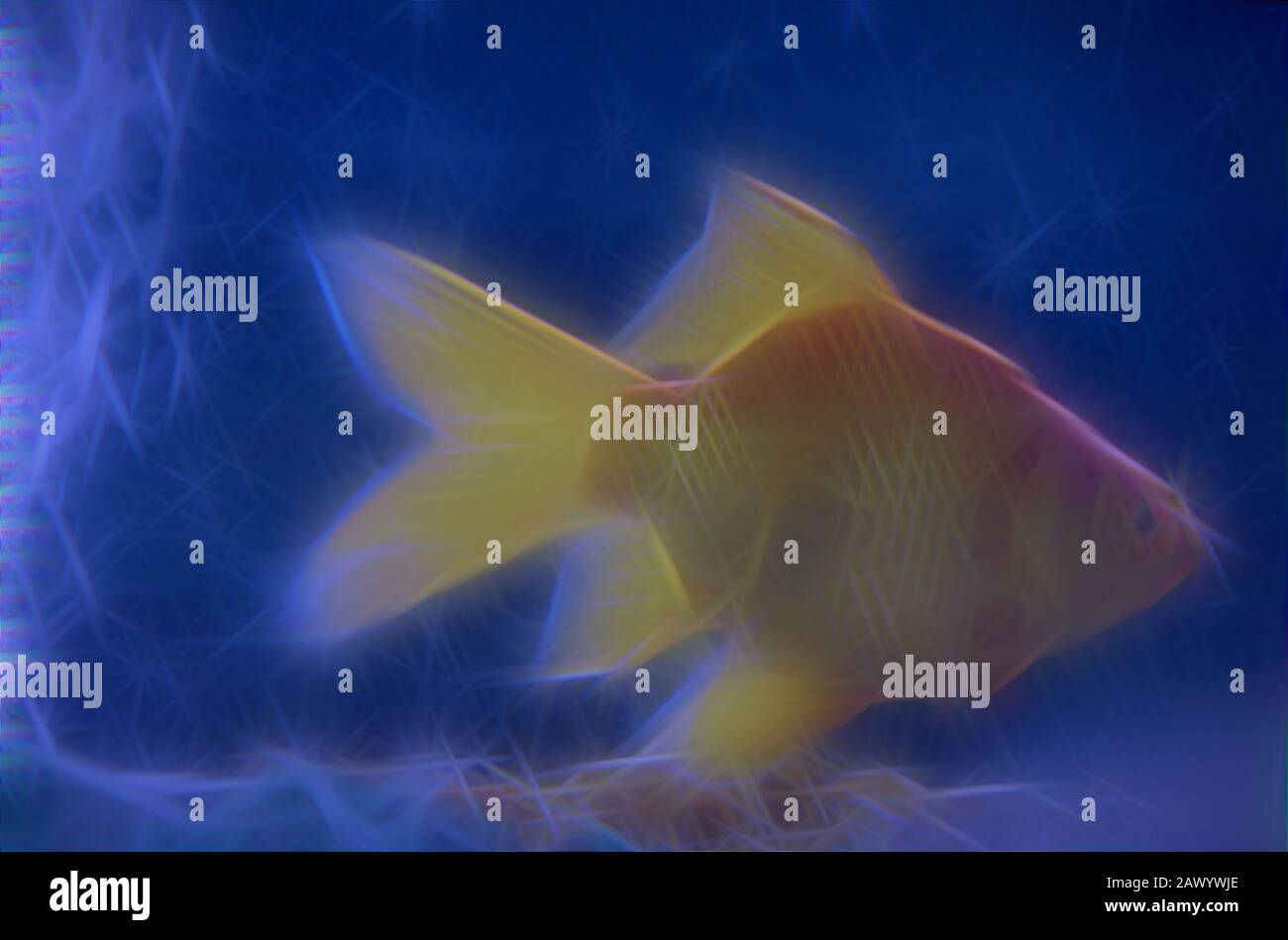 View of illustration of abstract goldfish in fish tank Stock Photo - Alamy
