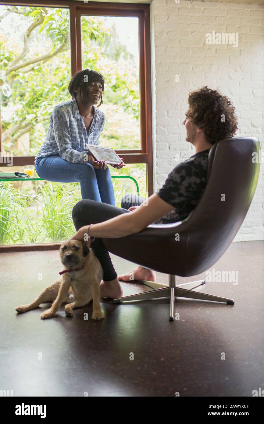 Young couple with dog talking and using digital tablet in home office Stock Photo