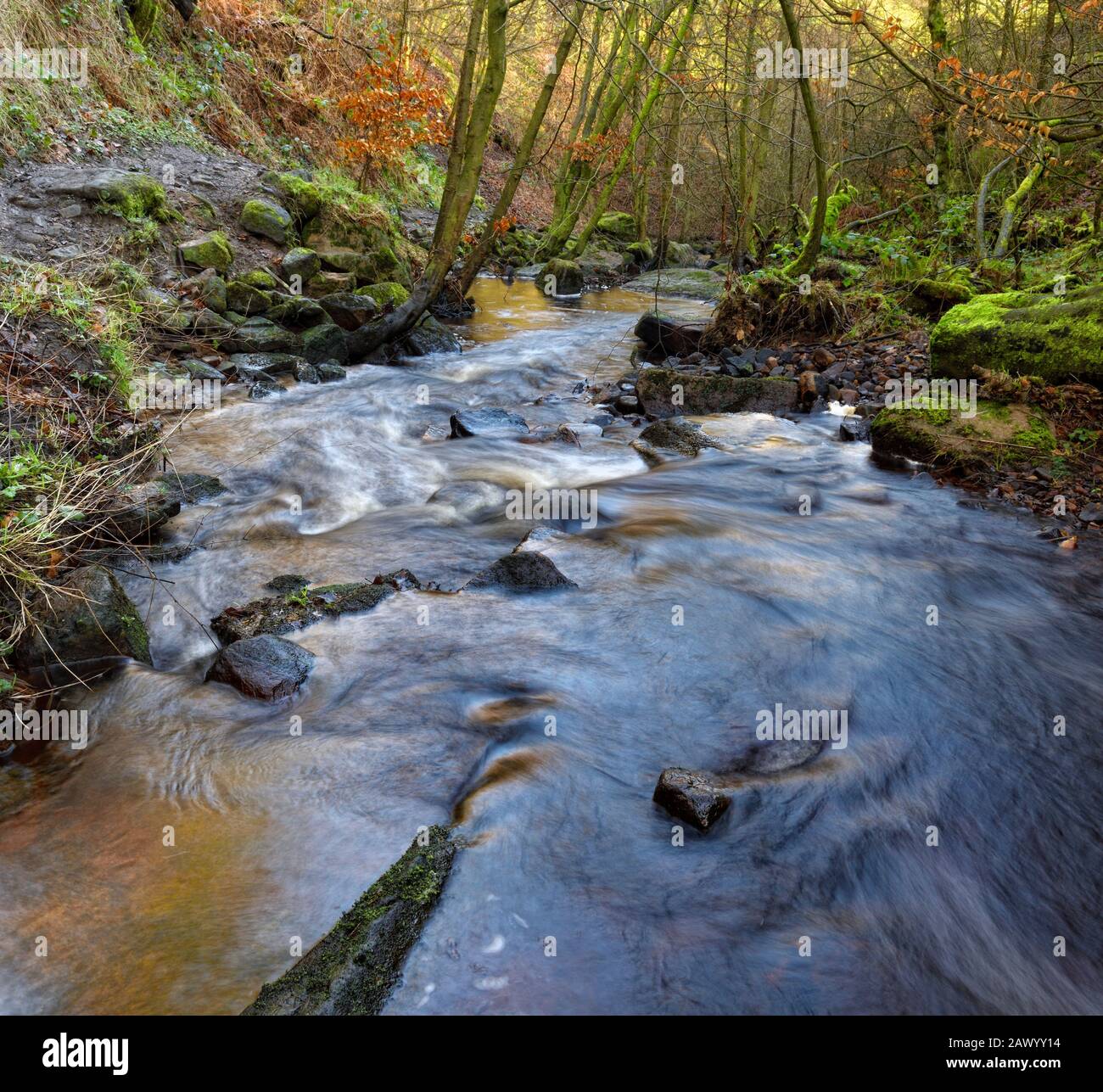 Peat coloured water flowing hi-res stock photography and images - Alamy