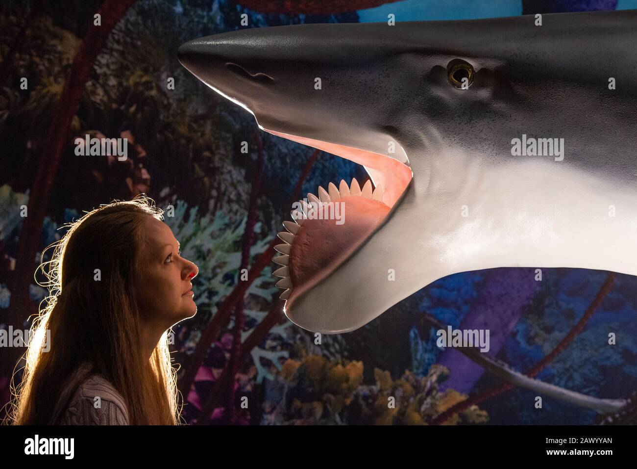 Deputy Keeper of Natural History Dr Emma Nicholls views a model of a Helicoprion, a spiral-toothed shark, during the preview for the Horniman Museum's 'Permian Monsters: Life Before the Dinosaurs' exhibition in south London. Stock Photo