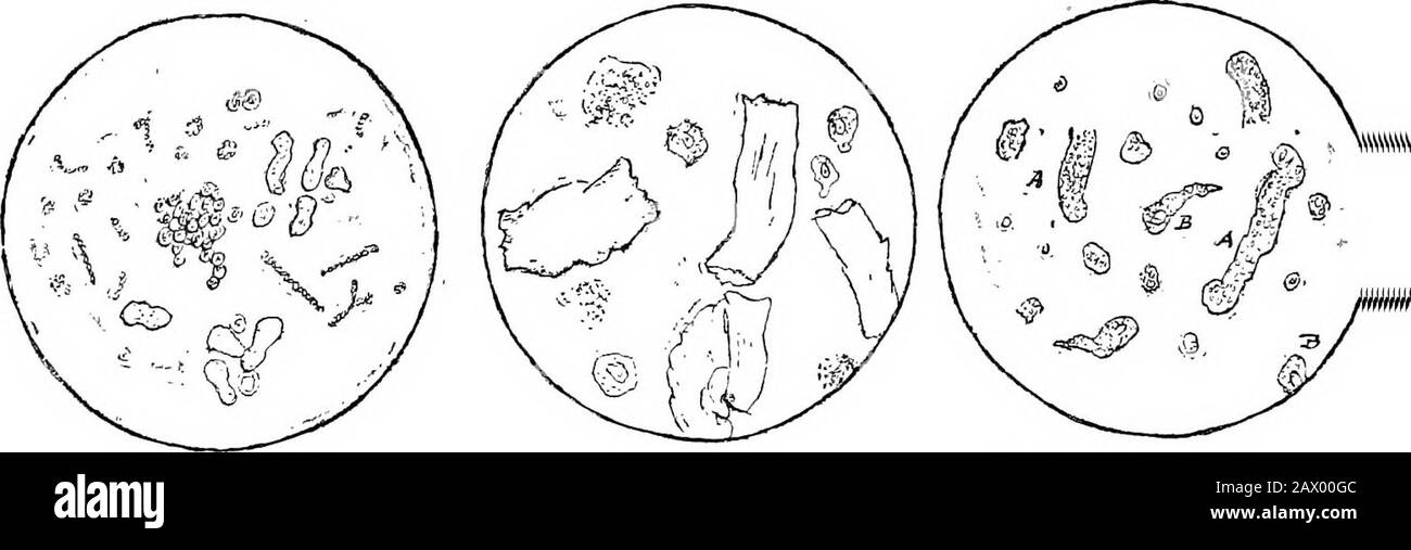 A short manual of analytical chemistry, qualitative and quantitative ...