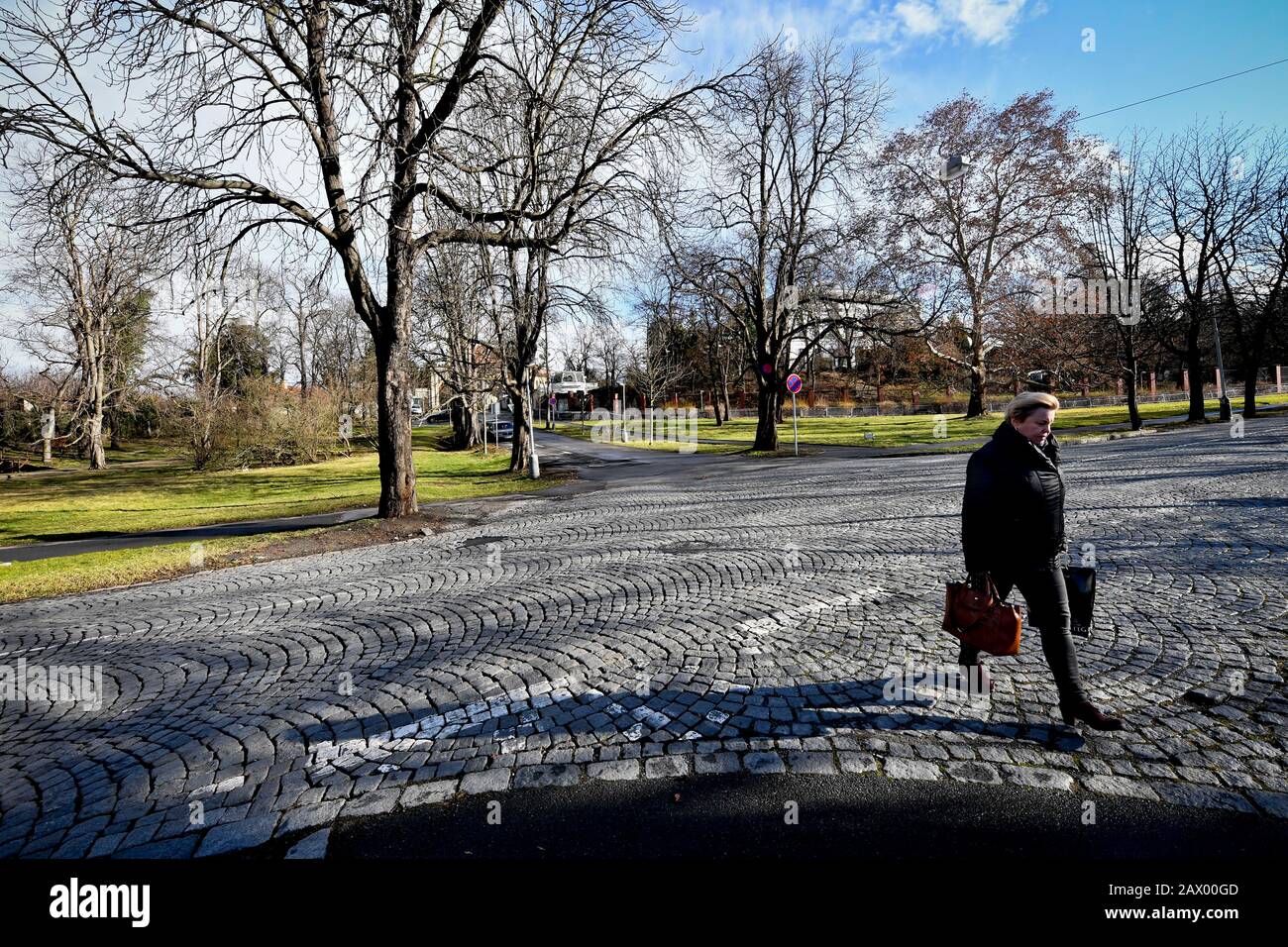 Prague, Czech Republic. 10th Feb, 2020. The Pod Kastany Square (Chestnut Trees Square) is seen in Prague, Czech Republic, on February 10, 2020. The square, where the Russian embassy is situated, will probably be renamed after the murdered Russian opposition leader Boris Nemtsov, Mayor Zdenek Hrib said on February 7. Credit: Vit Simanek/CTK Photo/Alamy Live News Stock Photo