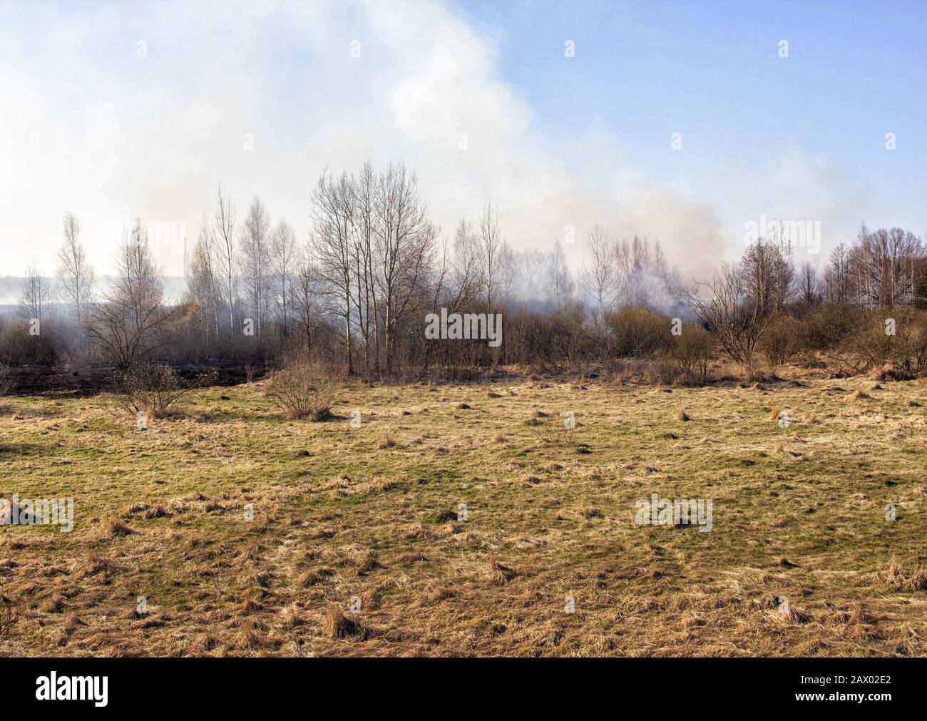 Dry grass burning in the spring forest, fire. Increased fire hazard in