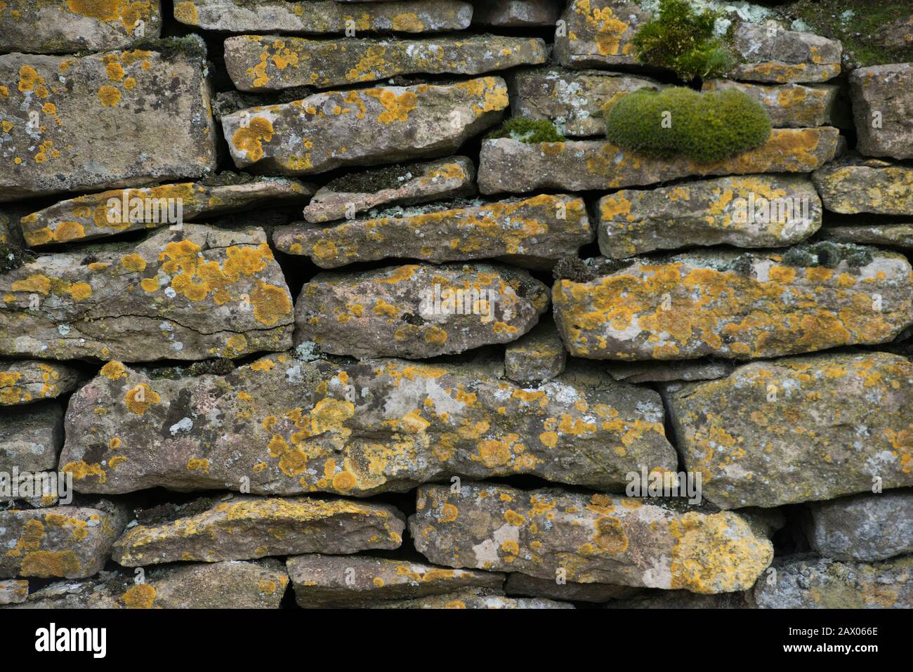 Cotswold dry stone walling hires stock photography and images Alamy