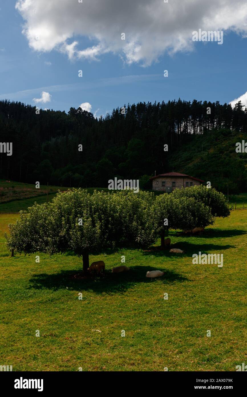 Basque Valley S Valleys of bizkaia hi-res stock photography and images - Alamy