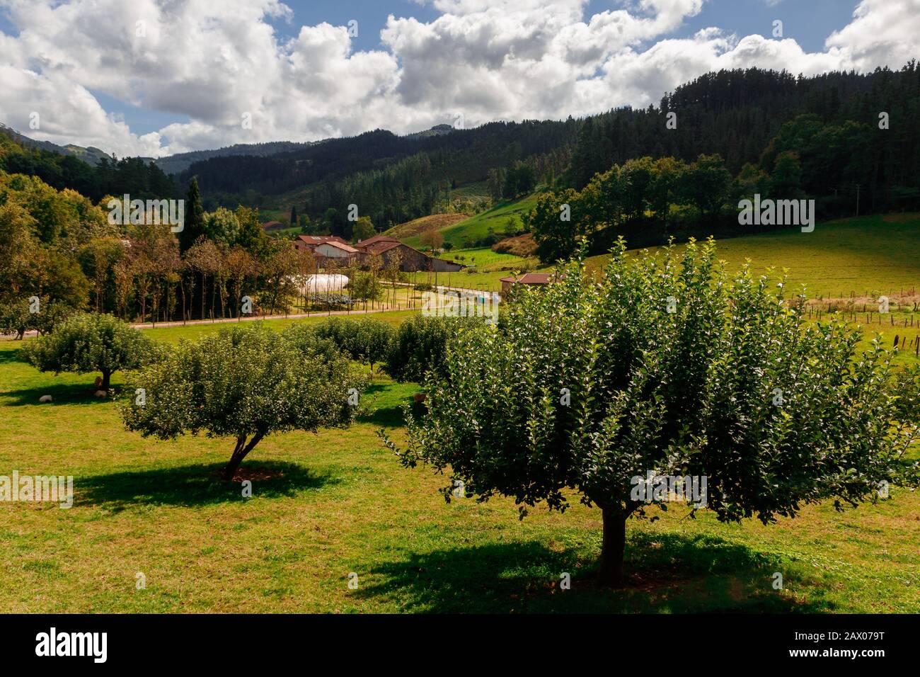 Basque Valley Valleys of bizkaia hi-res stock photography and images - Alamy