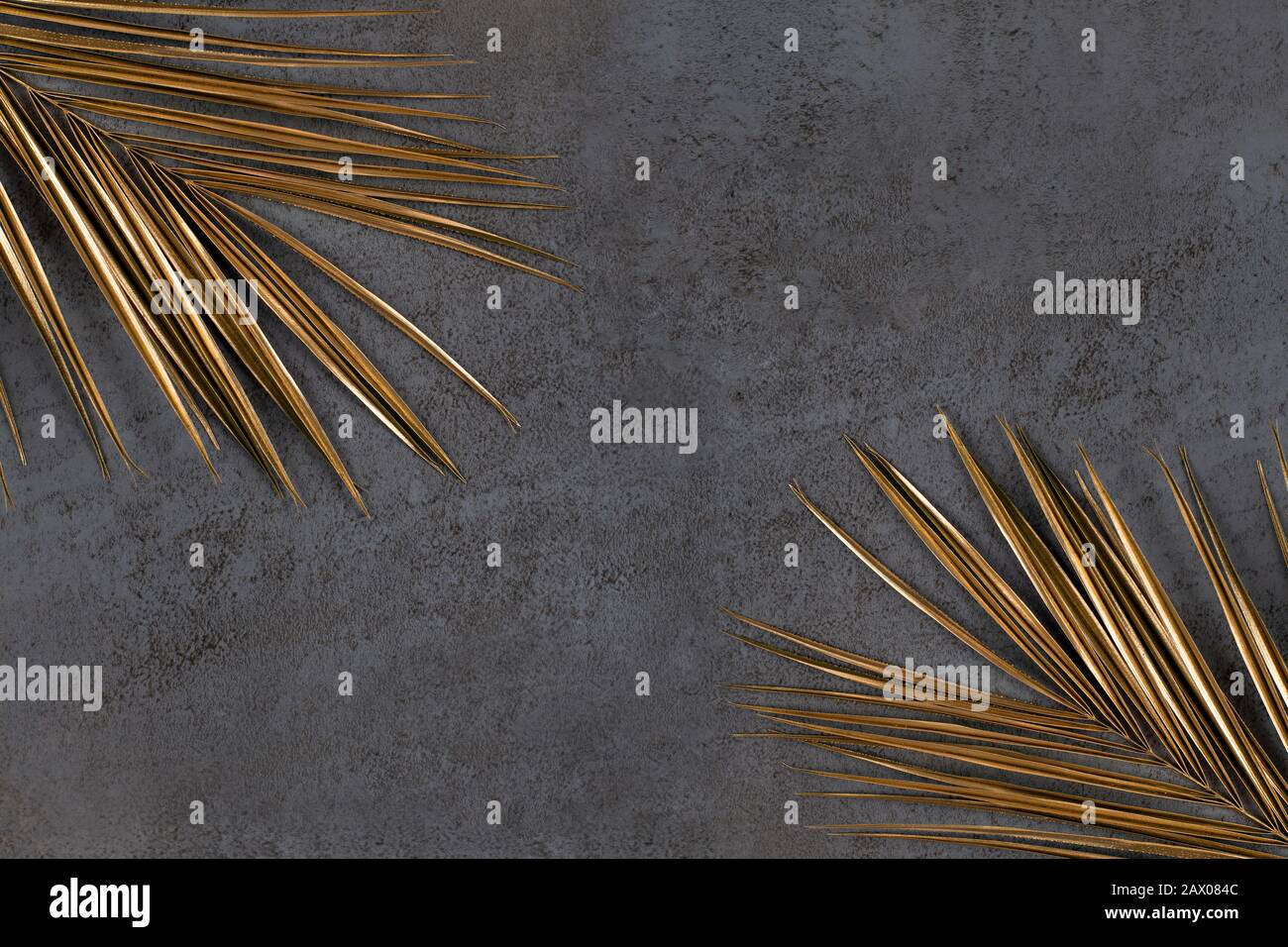 Closeup of golden palm leaves on abstract dark grey textured background ...