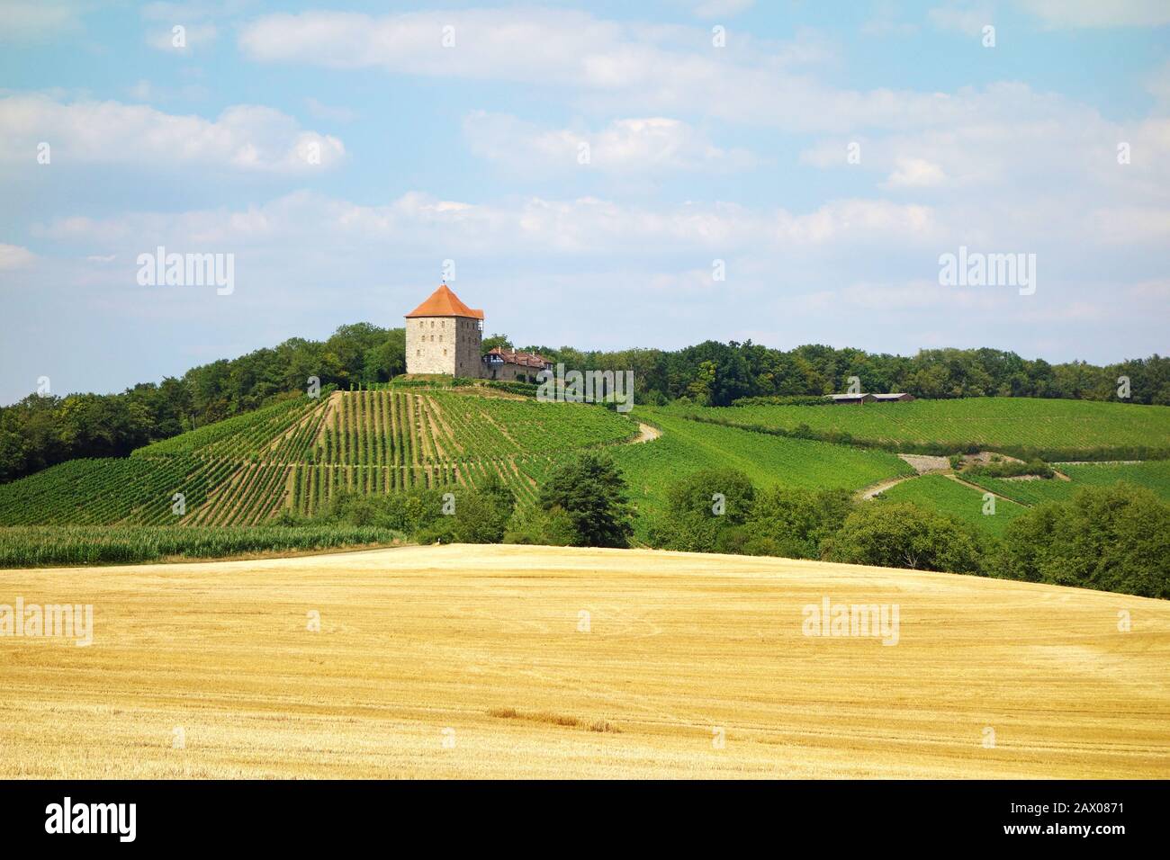 Castle Windeck - corn field in the foreground, forest and vineyard in the background Stock Photo