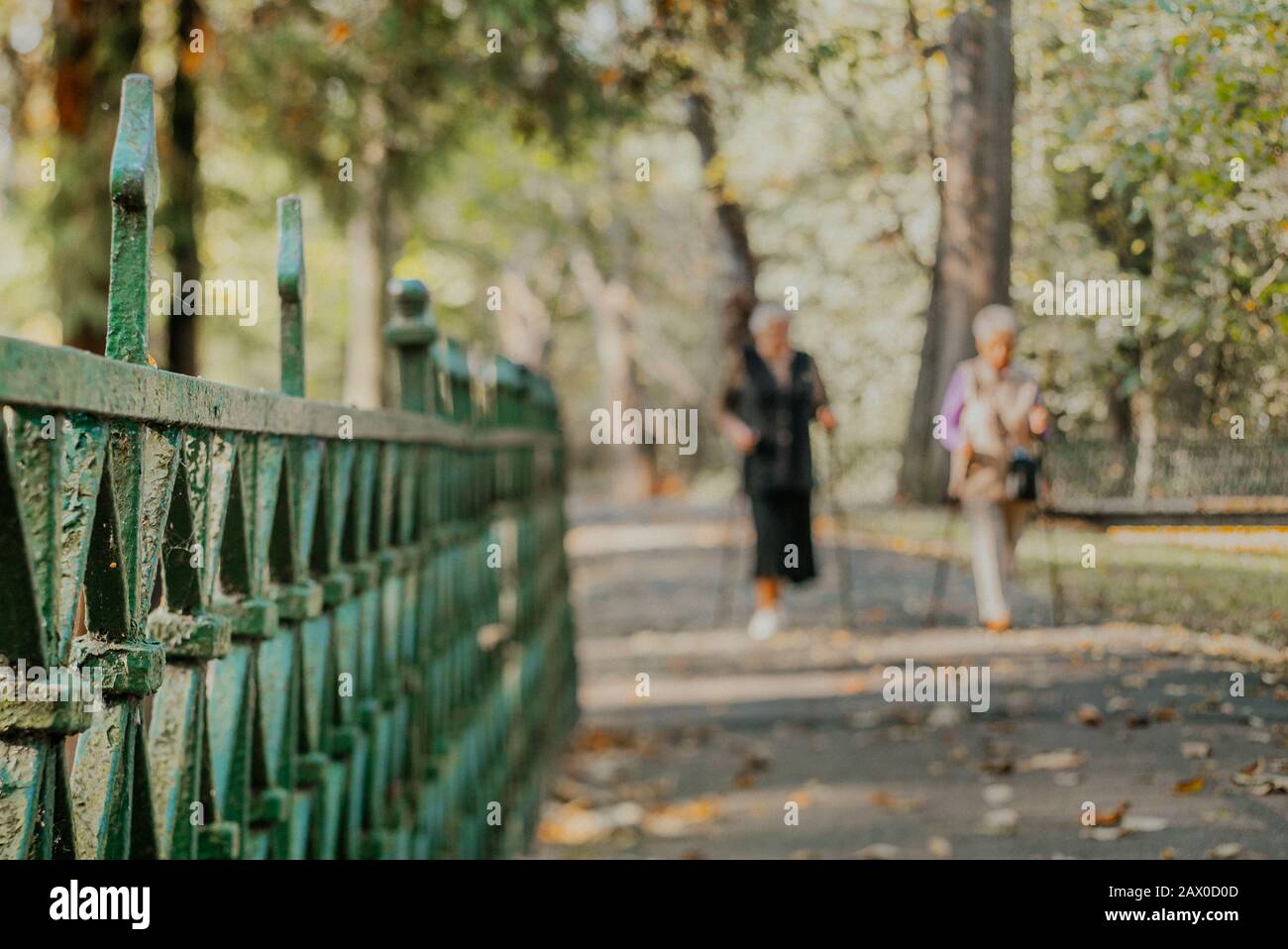 Shot on a post-war fence in the autumn park Stock Photo