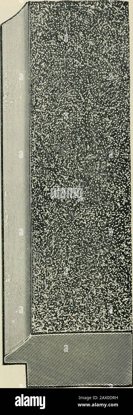 Mouldings, mirrors, pictures and frames. . No. 130. Composition Gold Moulding. PRICE.3i inch, per 100 feet... |ii 50 ^2 GEO. Ji. LEE S- CO., CHICAGO. COMPOSITION GOLD MOULDING,. No. 470. Sanded Panel, Burnished ConcavedBevel Edge. PRICE. li inch, per 100 feet 89 00 2 • 12 00 2i 15 00 S • 18 00 S0S. No. 10 1-2. Silk Plush.PRICE. finch, per 100 feet S3 00 1 9 00 li 13 50 Stock Photo