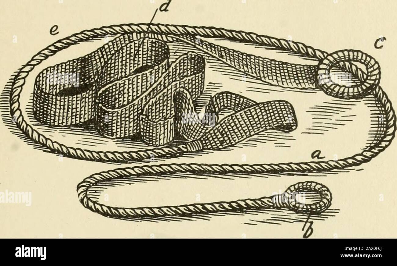 Restraint of domestic animals; a book for the use of students and practitioners; 312 illustrations from pen drawings and 26 half tones from original photographs . Fig. 49. Rope and Hobble Method of Restraining Both Hind Legs, Weh and Rope Method. This appliance, Figure 50, when used properly, will effect-ually prevent an animal from using either of its four legs.The web rope should be made from either manila or sisal fiber.The total length should be from 22 to 25 feet. Begin with aheavy ring (c) and make the first 14 feet of web (d) 4 incheswide. The next 8 to 11 feet should be rope (a) (e) %- Stock Photo