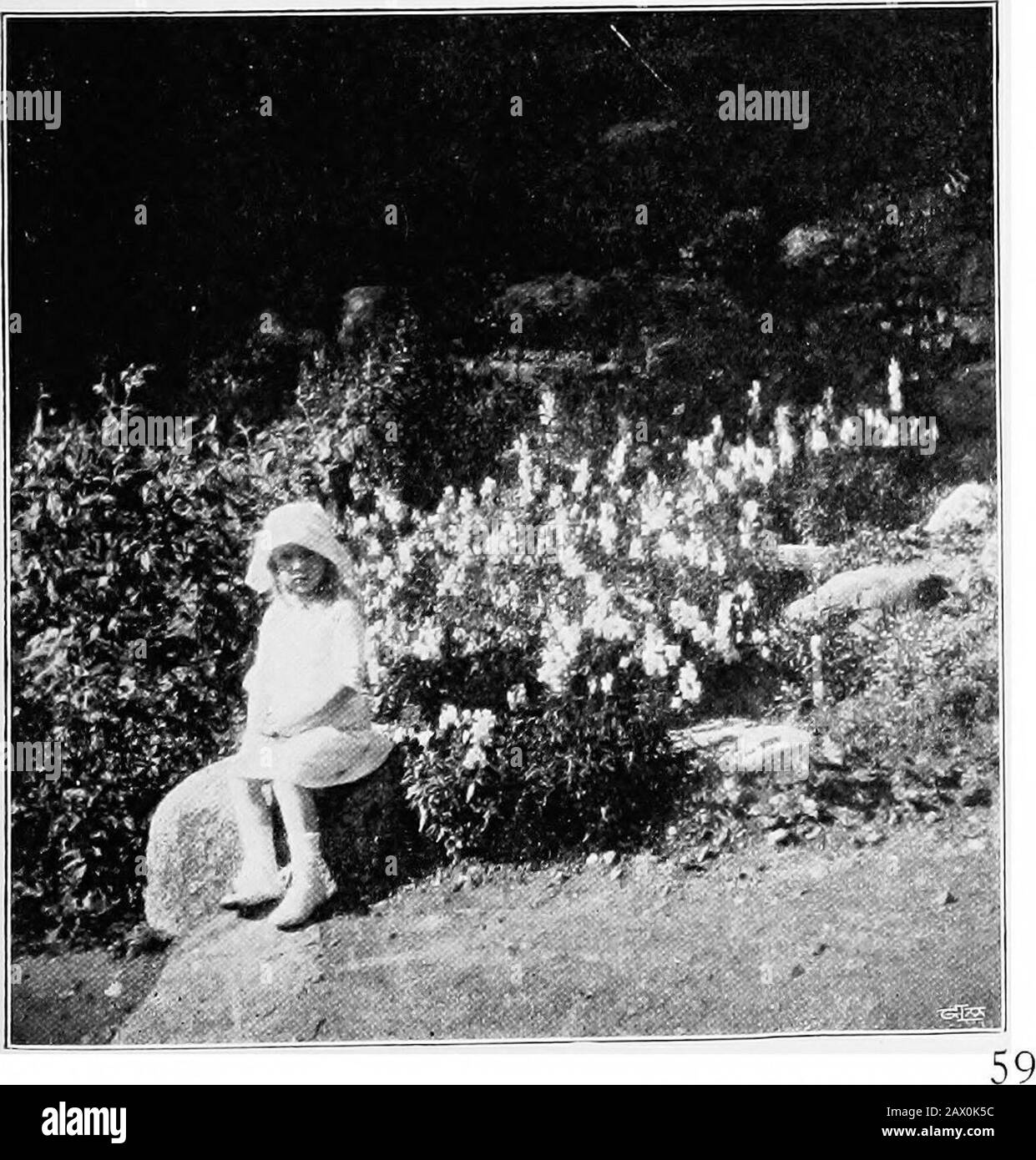 The garden that we made . resting things. And what an important item would be added to juvenileeducation if flower culture, no matter on how limited a scale,formed a special subject, and the love of Nature were bythis means awakened in the mind of the child. Children and flowers ! Does it not seem that they areinseparably connected ? Both are such great sources ofjoy. Both stand to us as symbols of innocence and hope. Flowers Grow for ThoseWho Love Them. Children and flowers have equally great need of sun-shine and love. The cheeks of our little ones grow paleduring the sunless days of the lon Stock Photo