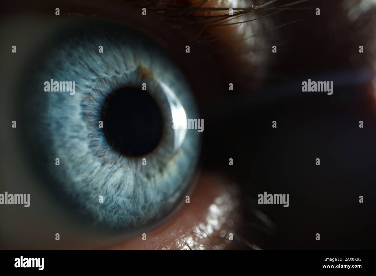 Male blue eye closup super macro background Stock Photo