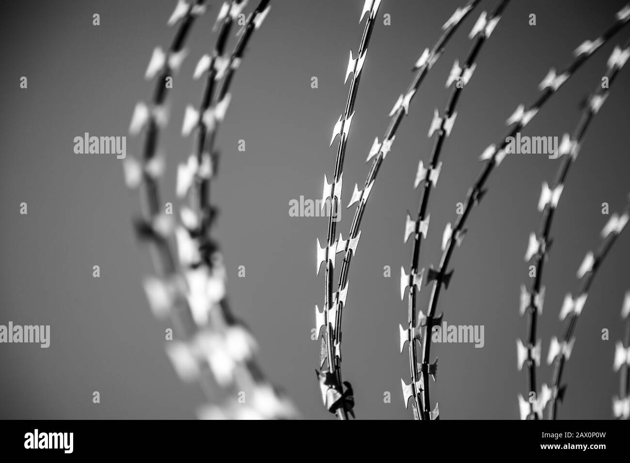 Demarcate