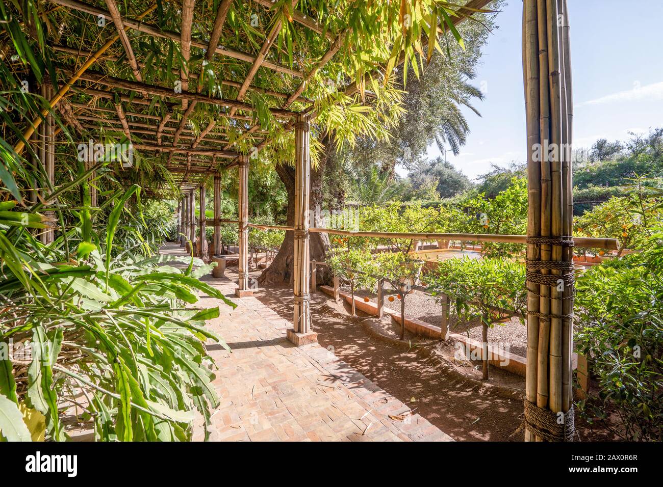 Beautiful path in Majorelle Garden in Marrakech, Morocco Stock Photo