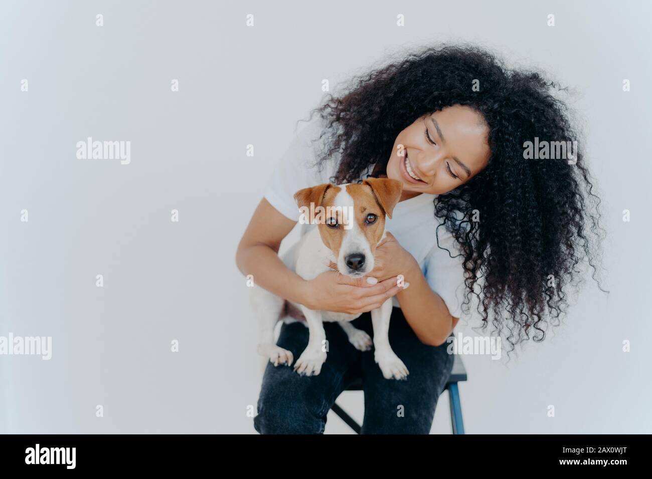 Glad dark skinned girl plays with jack russell terrier dog, have fun together, poses against white background, dressed casually. Happy Afro girl poses Stock Photo
