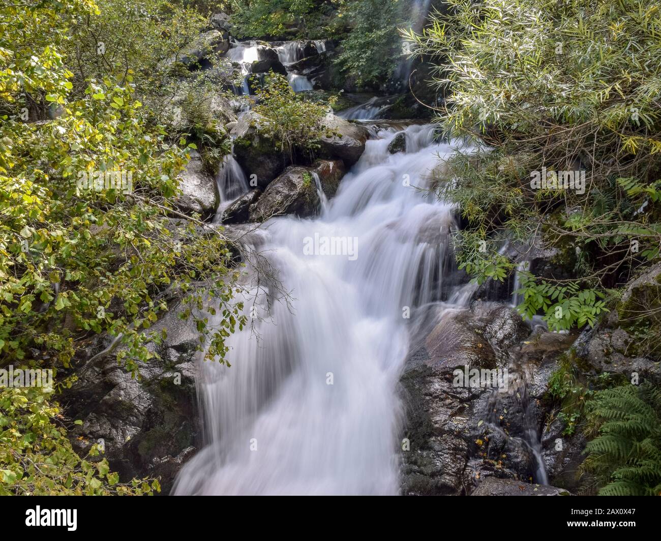 mountain river waterfall, green shrubs and trees on the river bank ...