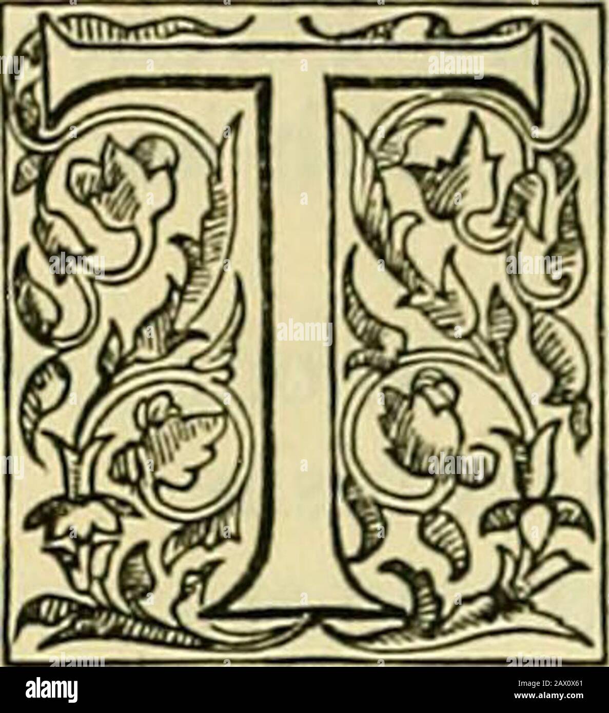 With Sebastian Cabot Hi Res Stock Photography And Images Page 2 Alamy With Sebastian Cabot Hi Res Stock Photography And Images Page 2 Alamy