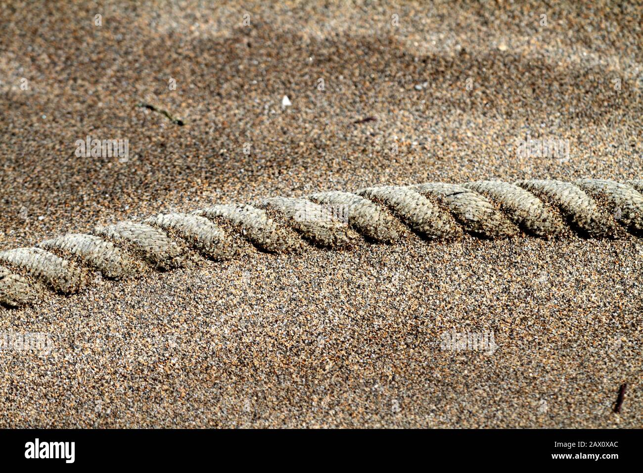 Rope in Sea Sand Stock Photo Alamy