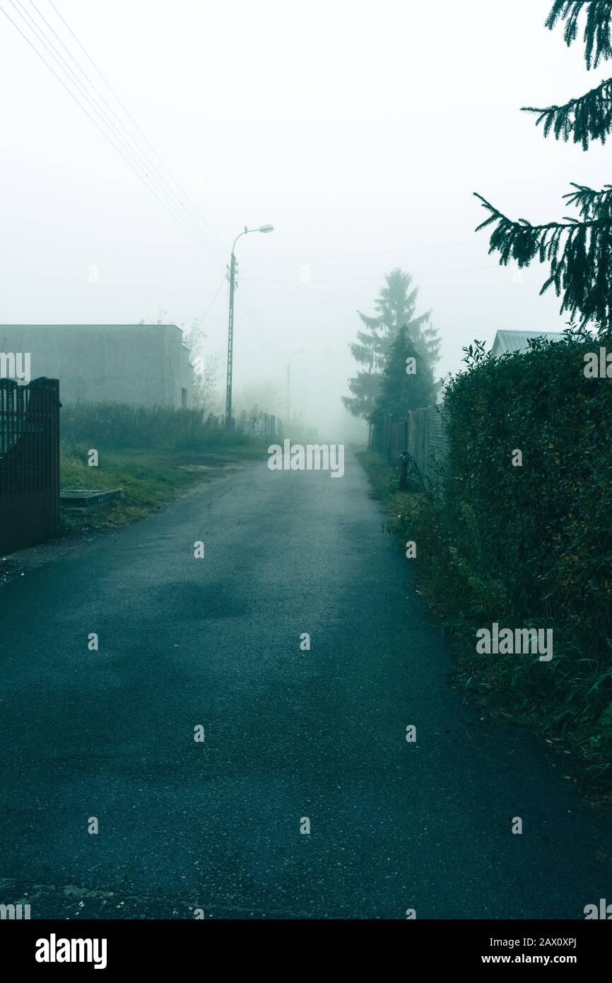 Empty foggy asphalt road with trees in the background Stock Photo - Alamy